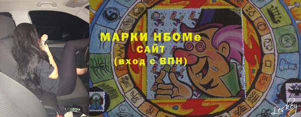 шишки Краснослободск