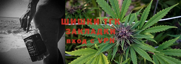 шишки Краснослободск