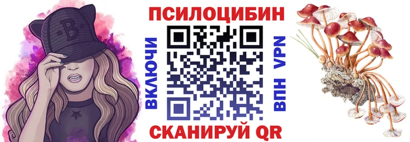 Купить где  Озёрск  Галлюциногенные грибы мицелий 