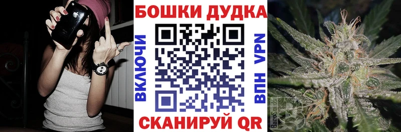 Бошки Шишки ГИДРОПОН  Купить закладки  Озёрск 